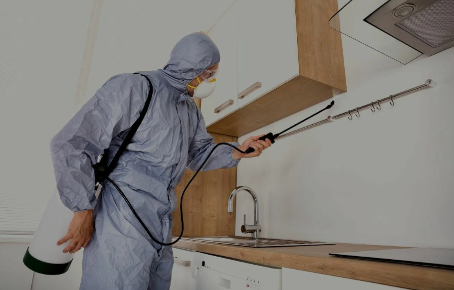 Orinda pest managment